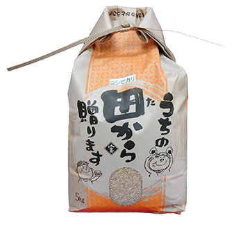 令和3年産 福島県産 コシヒカリ（特別栽培米）5kg玄米