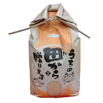令和3年産 福島県産 天のつぶ 5kg玄米